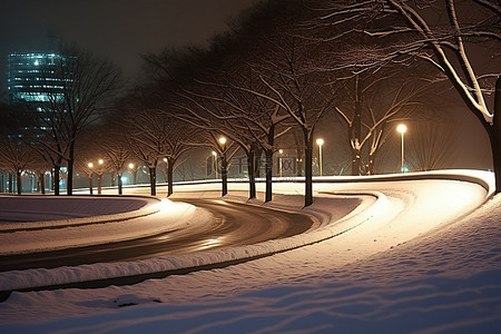 夜景日雪城市公园