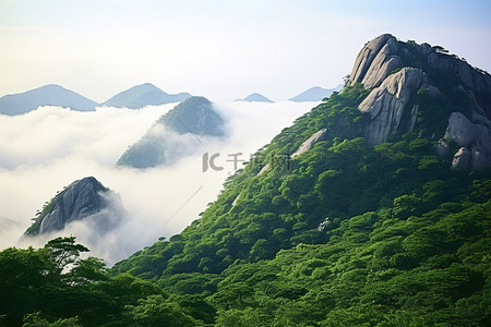 山顶云雾缭绕，绿树成荫