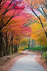 云树木背景图片_一条林间小路，两旁排列着一排色彩鲜艳的树木