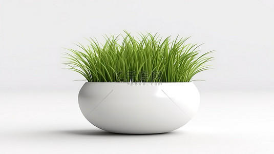 纯绿背景背景图片_纯白色背景数字艺术品上有绿草的陶瓷花盆
