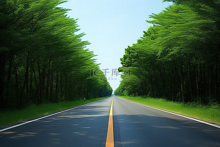 乡间路背景图片_一条通往森林蓝线道路的乡间小路