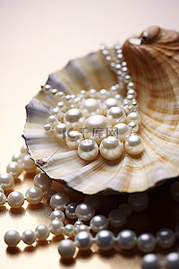 珍珠贝壳背景图片_贝壳珍珠系列和珍珠串
