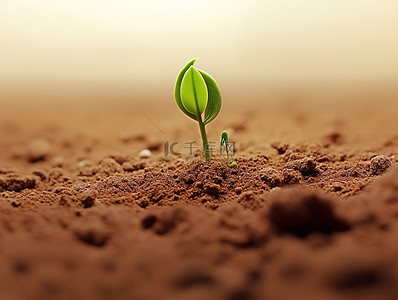 土壤幼苗背景图片_幼苗和植物在泥土中生长