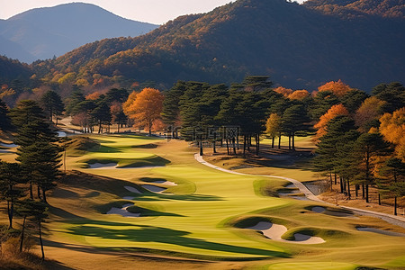 乡村振兴免费背景图片_京都 zensho 高尔夫球场