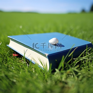 草地上的书