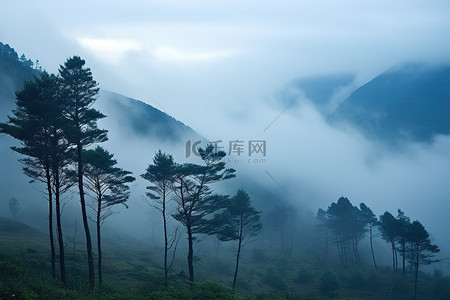 高铁铁背景图片_一群被很多云包围的树