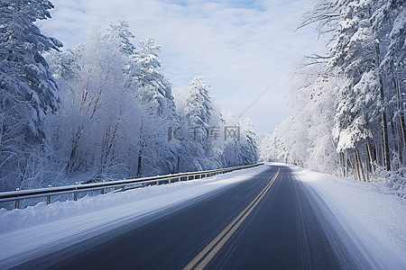 石板雪路背景图片_一侧有森林的雪路