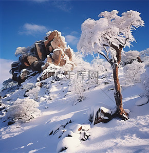 被雪覆盖的岩石有树和蓝色和白色的雪