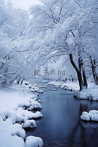 当雪落在河上时，雪覆盖了树木