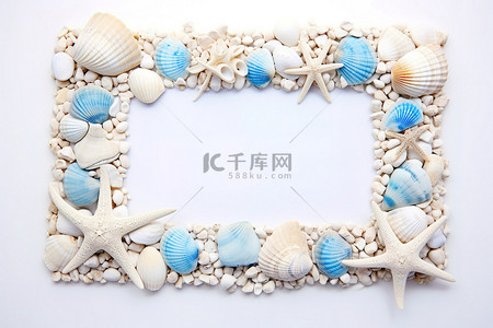 海螺海星背景图片_放置由贝壳制成的卡框