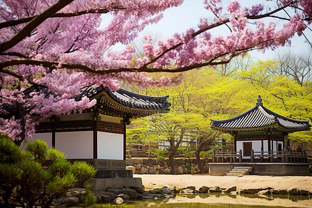 悬空岛上背景图片_韩国三州岛上的寺庙