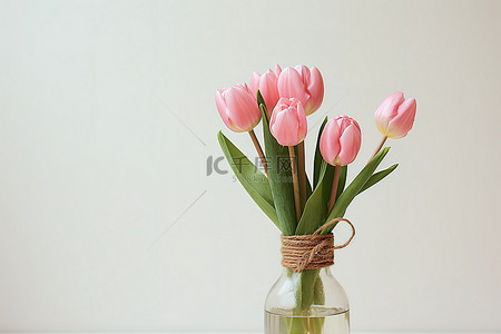 玻璃瓶植物背景图片_一个展示粉红色郁金香的小玻璃瓶