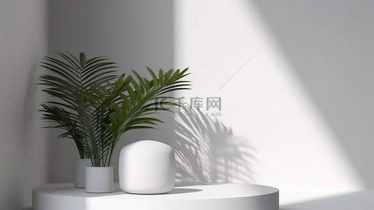 化妆品背景植物背景图片_3D 渲染的白色讲台，带有用于化妆品展示的阴暗植物