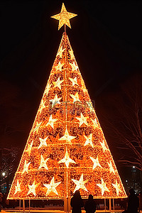 一棵由灯光和星星组成的点亮的节日树