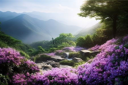 山附近有瀑布的紫色花朵