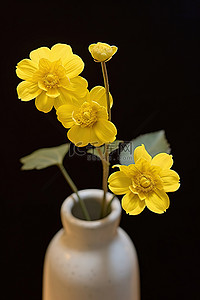 花瓶里的三朵黄色花