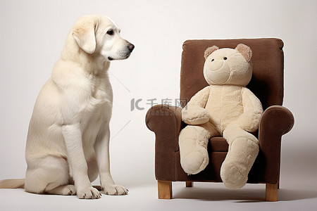 一只白狗坐在椅子上，后面有一只泰迪熊