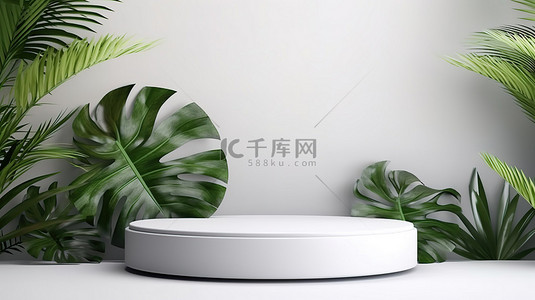 横幅植物背景图片_背景为白色表面和龟背竹植物的现代圆形底座的 3D 渲染