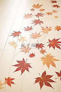 枫叶图案背景图片_秋叶排列在白色木地板上的图案