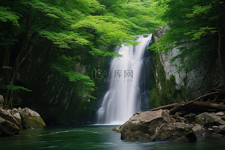 大瀑布位于绿树成荫的林区