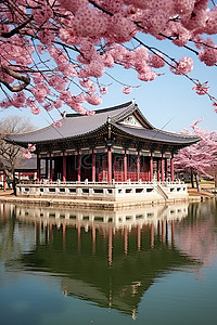 福背景图片_池塘里有粉红色盛开的树木和一座砖砌建筑