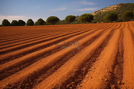 黄土高坡背景图片_地上有一块犁过的田地
