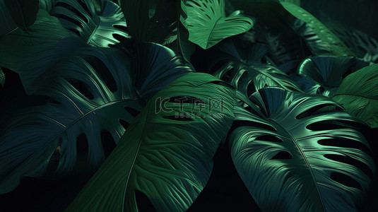 3d 热带树叶背景