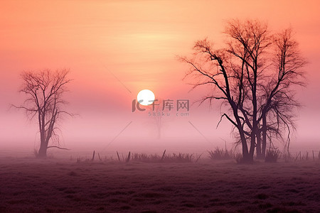 华为天空之境背景图片_日出在平坦的田野里，光秃秃的树木上空，天空多云，阳光灿烂