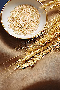 防水布上有谷物的麦粒