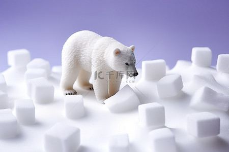 一只小熊站在一些白色的糖块上