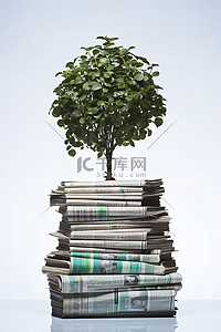 报纸堆顶上的绿树