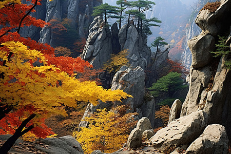 秋叶与岩层的彩色视图