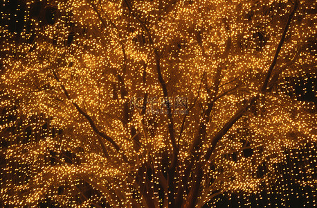 昏暗的灯光下圣诞灯照亮的树