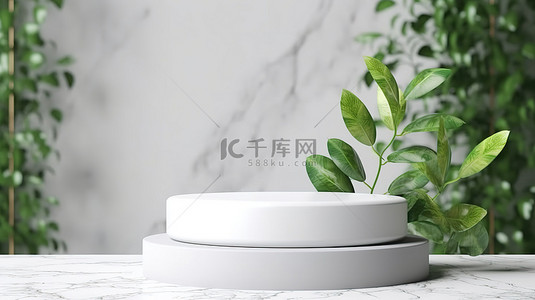 场景植物背景图片_绿叶背景白色化妆品展示产品架 3D 渲染