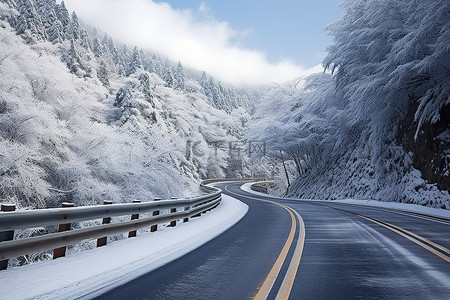 郑成功收复台湾背景图片_台湾冬季积雪树木的道路