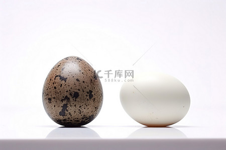 鹌鹑小皮蛋背景图片_白色空间中的鹌鹑蛋和鹌鹑鸟