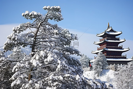 雪山俯瞰红塔和松树