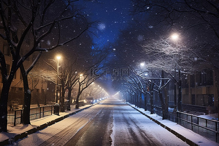 夜晚的城市，街道上树木和雪纷纷落下