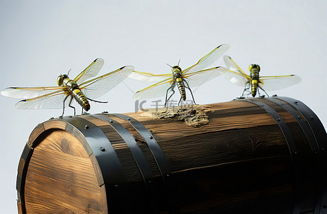 房费蜻蜓背景图片_三个小蜻蜓雕像坐在木桶上