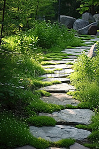 公园路背景图片_一条穿过花园的石路