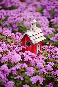 有规律的花坛背景图片_鸟舍坐落在紫色的花坛上