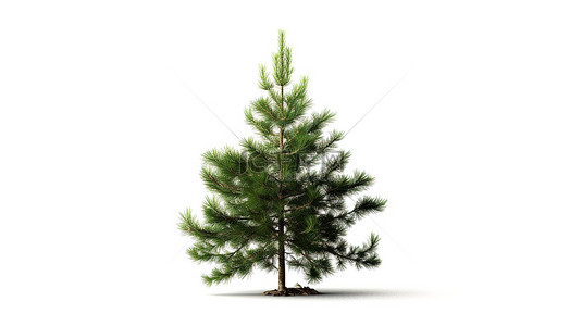 白色背景上圣诞树绿松的 3D 渲染，用于横幅设计