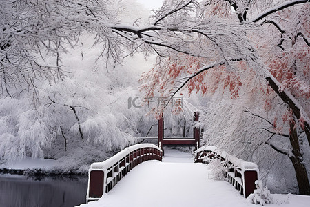 一座白色的桥，周围环绕着白雪覆盖的树木