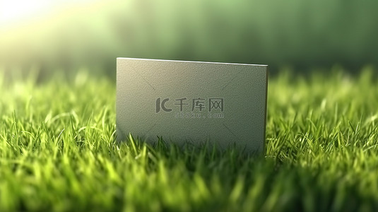 白绿商务背景图片_郁郁葱葱的绿草背景上的名片模型的 3D 渲染