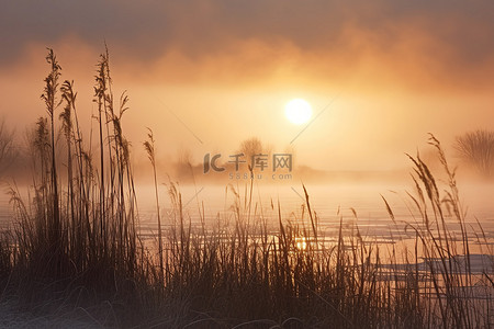 湖上游船卡通背景图片_太阳升起在湖和芦苇上