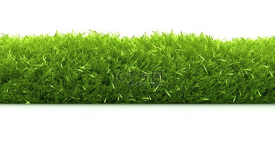 充满活力的绿草与 3D 渲染的清晰白色背景相映衬