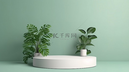 用于品牌产品展览的圆形底座圆柱体上绿色植物的 3D 渲染
