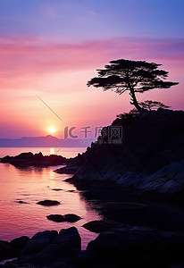 一棵孤独的树和崎岖的海岸反射着日落时的天空