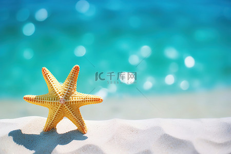 两只海星背景图片_两只海星坐在有游泳池的沙子里
