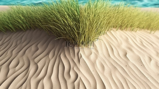风景背景的 3D 渲染，一半沙滩，一半茂盛的绿草